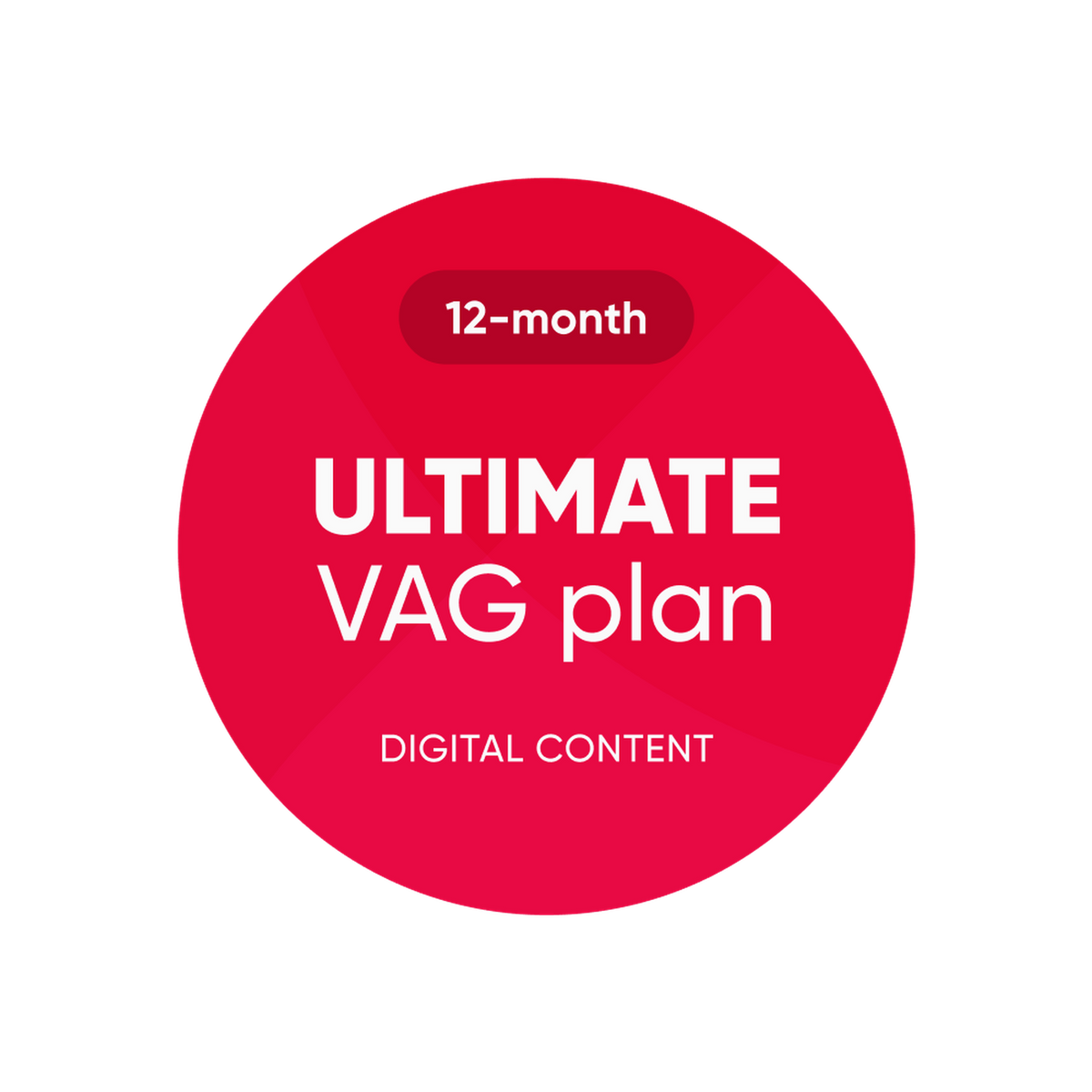 OBDeleven | Ultimate VAG Plan | Άδεια λογισμικού