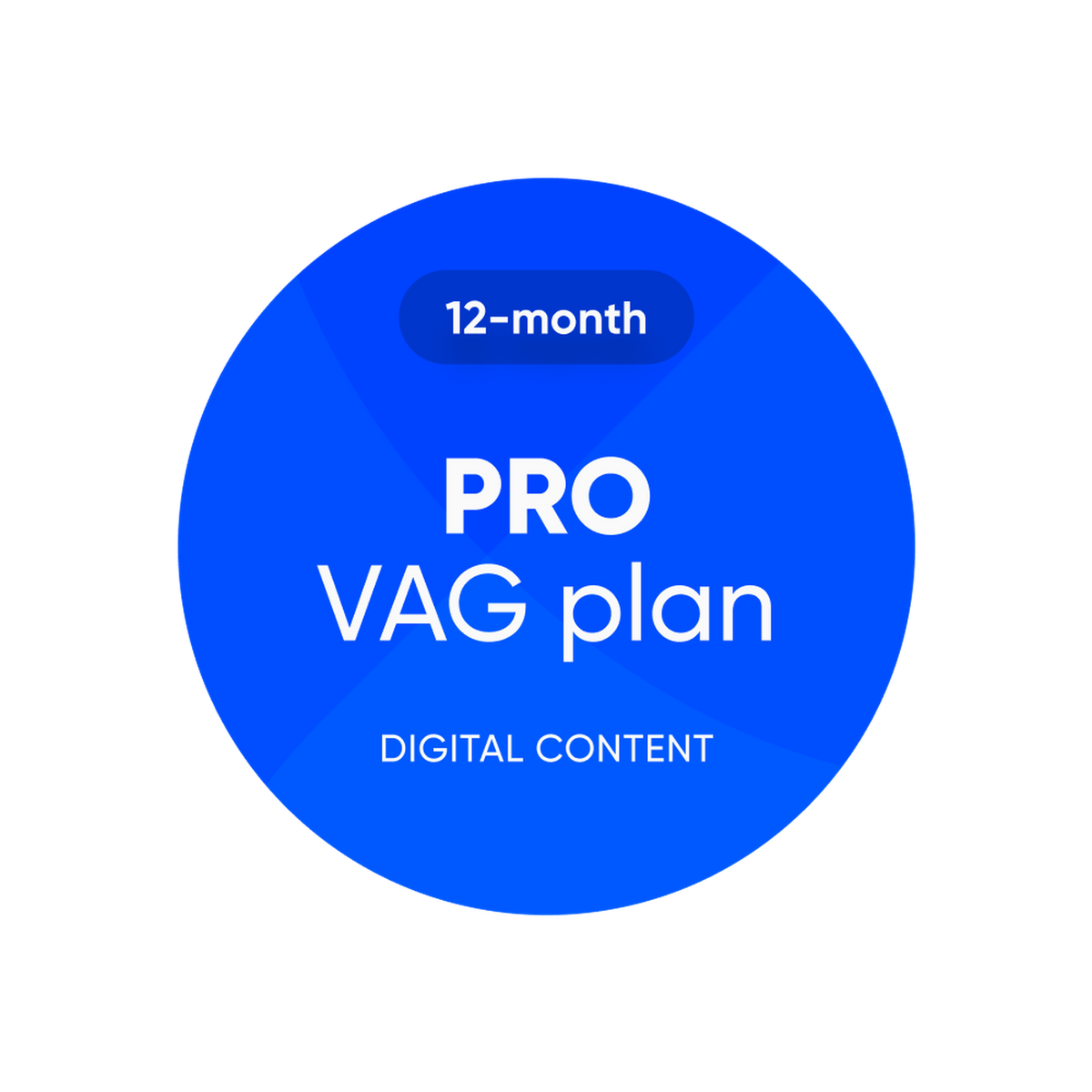 OBDeleven | Pro VAG Plan | Άδεια λογισμικού
